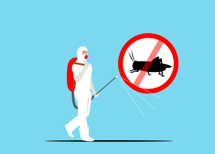 Désinsectisation, dératisation et anti-nuisibles Creil